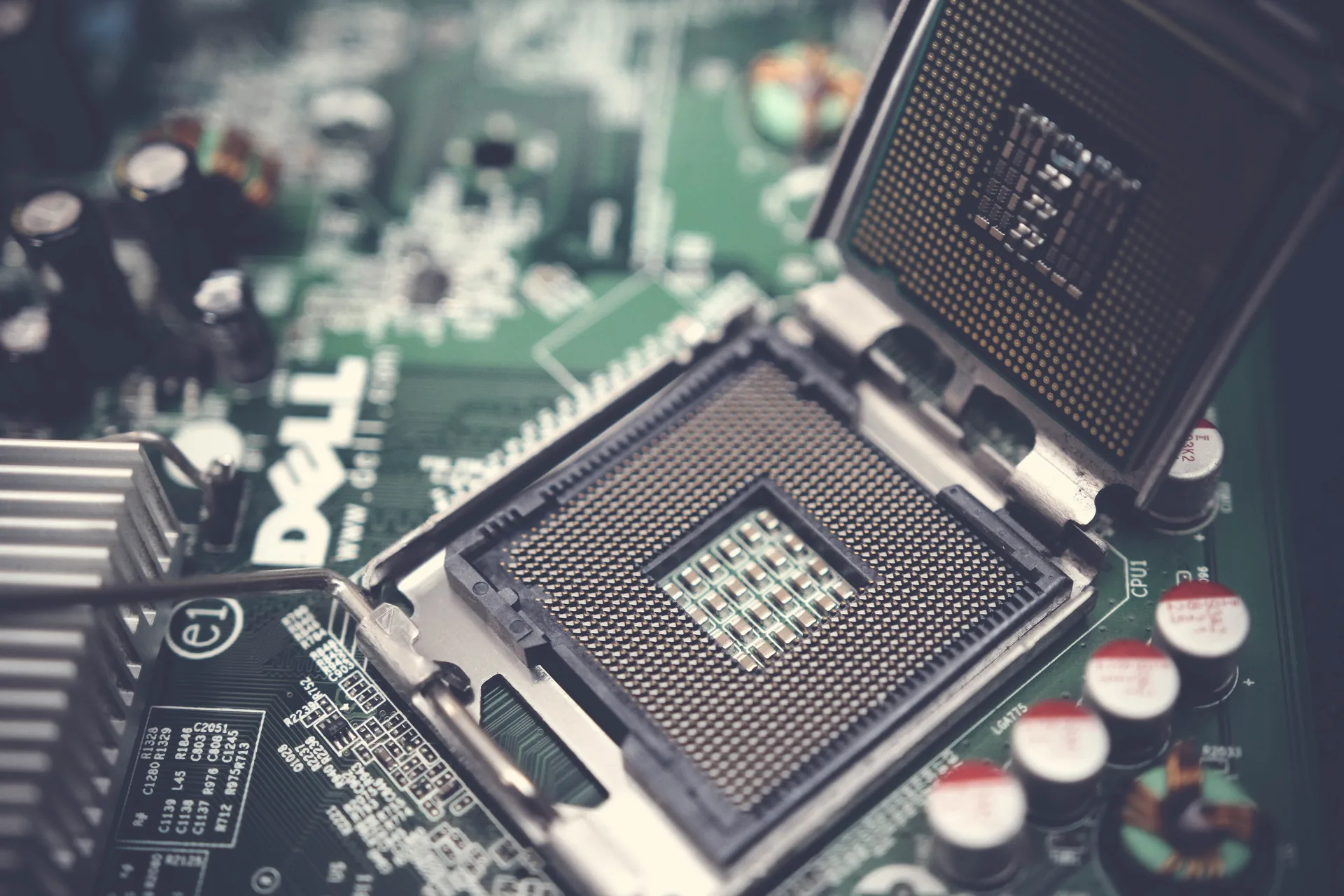 Close-up of server processors mounted inside a data centre chassis
