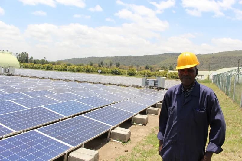 Rows of photovoltaic panels at a Kenyan solar farm