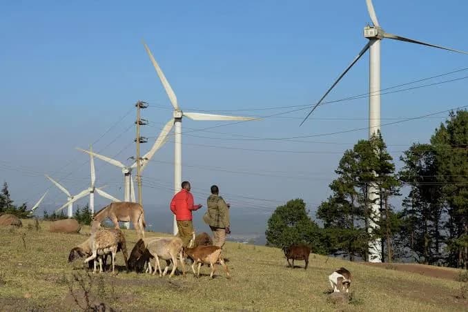 Wind turbines on a Kenyan hillside