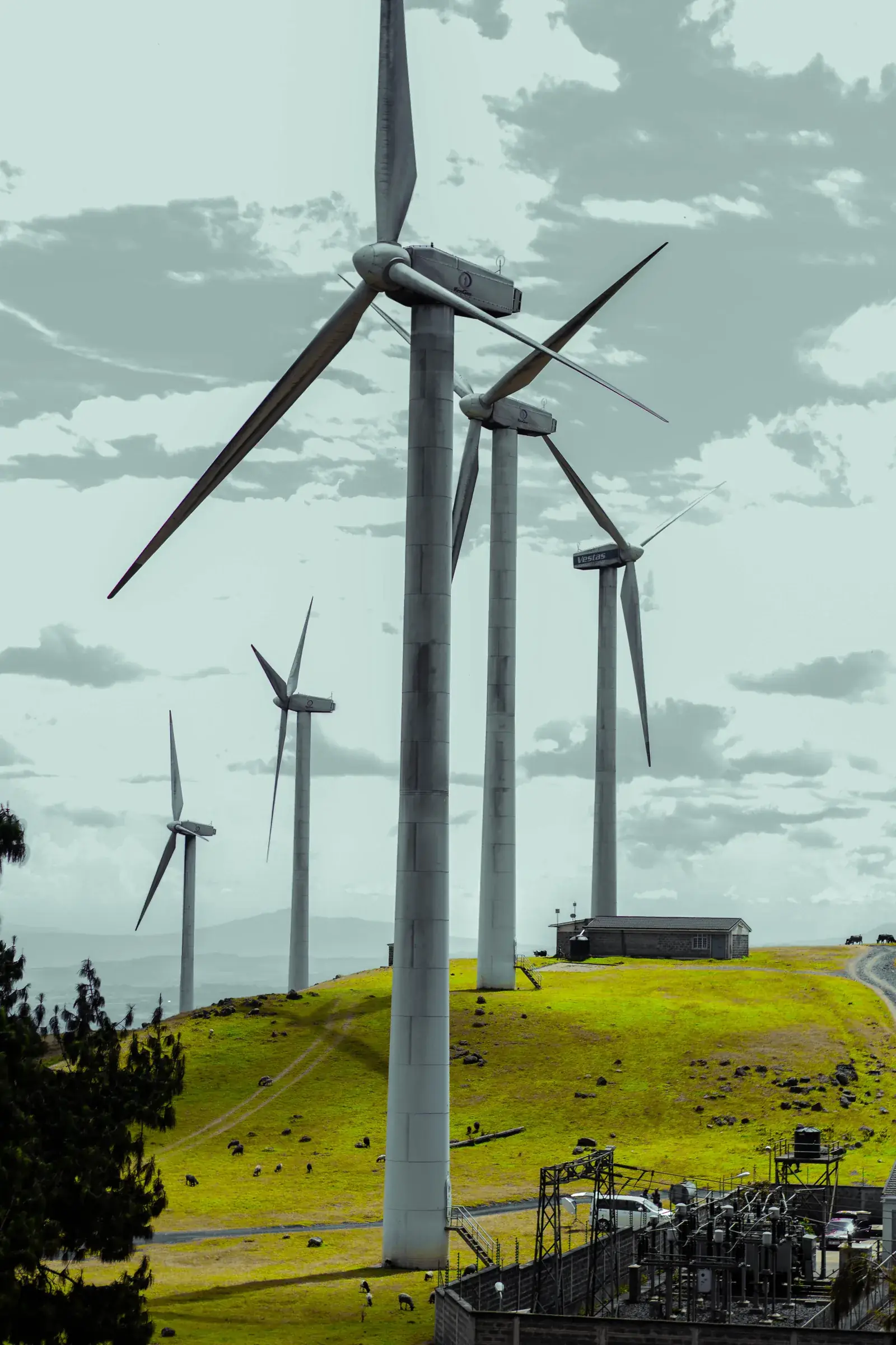 Wind turbines on a green Kenyan hill