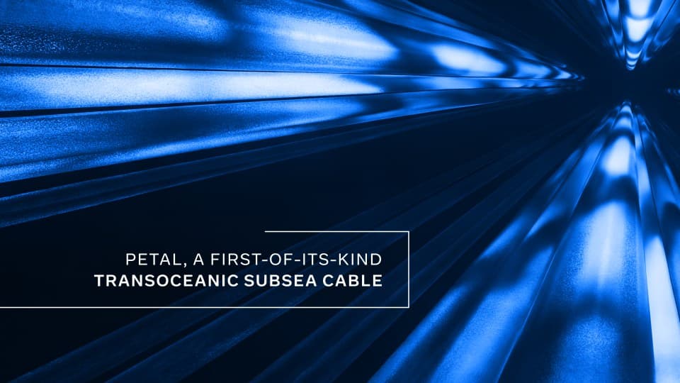 Meta's announcement artwork for Petal, a first-of-its-kind transoceanic subsea cable