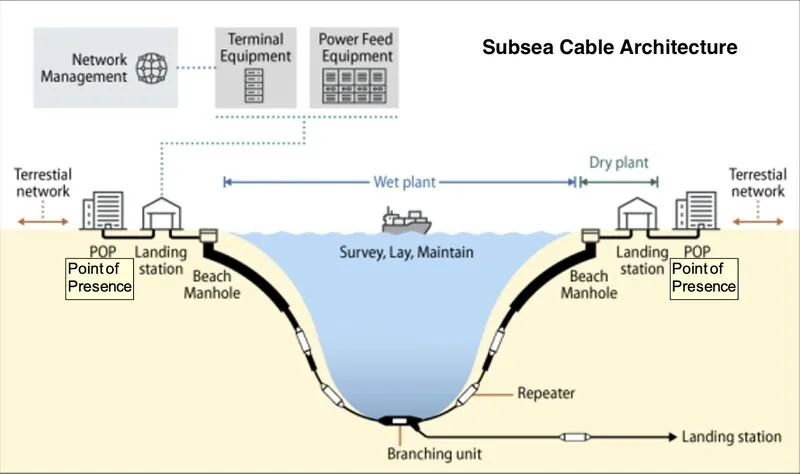 Diagram of subsea cable architecture from landing station to POP